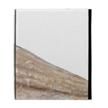 Edge of Seashell. Close Up Picture. iPad Cases