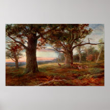 Edge of Sherwood Forest Print