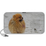 Edgrrrr #3 - Pomeranian iPhone Speakers