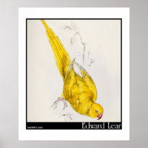 Edward Lear's Rose-Ringed Parakeet Posters