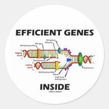 Efficient Genes Inside (DNA Replication) Round Stickers