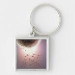 Egg being fertilised by sperm keychains