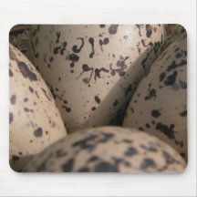 Eggs Mouse Pads