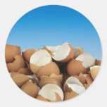 Eggs Sticker