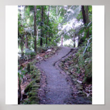 El Yunque National Forest Print