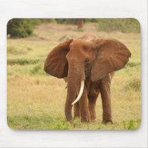 Elefant Mousepad