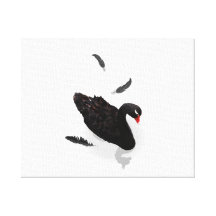 Elegant Black Swan Gallery Wrap Canvas