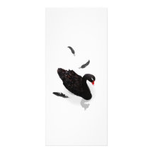 Elegant Black Swan Custom Rack Card
