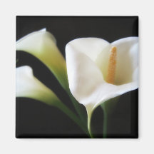 Elegant Calla Lily Flowers 9 Fridge Magnet