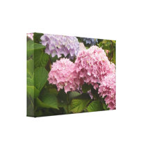 Elegant Hydrangeas Canvas Print