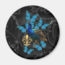 Elegant Peacock & blue butterflies on black Refrigerator Magnets