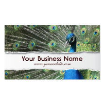 Elegant Peacock Feathers business card