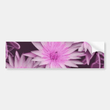 Elegant pink lillies cutomizable bumper stickers