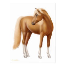Elegant Sorrel Horse Postcard