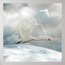 Elegant Swan in Flight  Poster