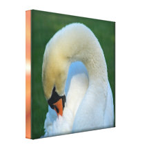 Elegant Swan Wrapped Canvas Print