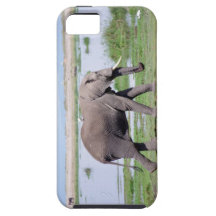 Elephant Case Mate iPhone 5 Case