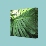 Elephant Ear Plant Canvas Print canvas prints
