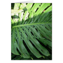 Elephant Ear Tropical Plant Greeting Card