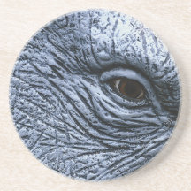 Elephant Eye Drink Coasters