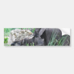 Elephant Family  Bumper Sticker
