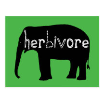 Elephant - Herbivore Post Card