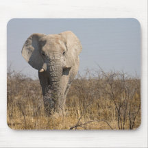 Elephant Mouse Pads