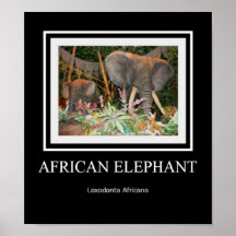 Elephant Poster