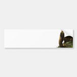 Elephant Profile Bumper Sticker