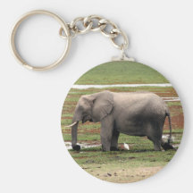 elephant water keychains