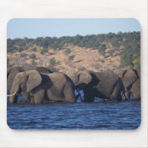 Elephants in the Water Mouse Pad