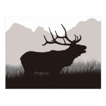 Elk Bugling Postcards