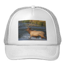 elk hat