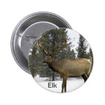 Elk in Winter Button