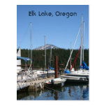 Elk Lake Oregon Postcard