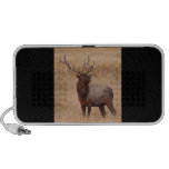 elk raspberry mp3 speakers