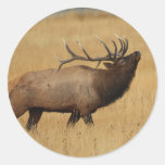 elk round stickers