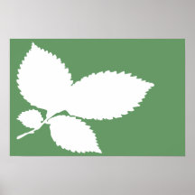 Elm Leaf Silhouette Poster