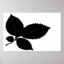 Elm Leaf Silhouette Poster