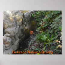Embrace Natures Beauty Poster