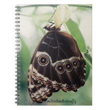 Emerging Glory 6.5 x 8.75 Notebook