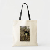 Employee Inspects Browse Survey Bag