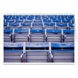 Empty Stadium Greeting Card