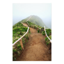 Empty walking trail photo art