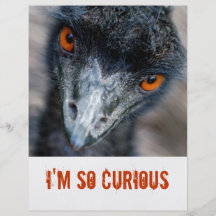 Emu watching, I'm so curious Personalised Flyer