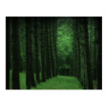 Enchanted Forest Postcard