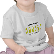 Endospores Built To Last (Bacterial Attitude) Tees