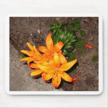 Energetic Orange Keepsake Collection Mousemats