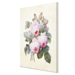 English Bourbon Rose  Bouquet by Redoute Gallery Wrap Canvas