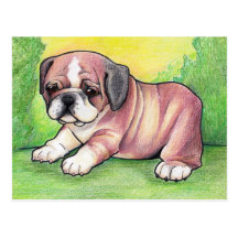 English Bulldog Puppy Postcard